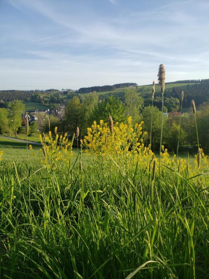 Sonnen Panorama - Abenteurer Und Weltentdecker Winterberg Exterior photo